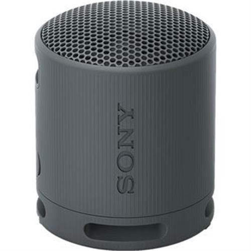 COLUNA SONY PORT.BTTH.PR.-SRSXB100B